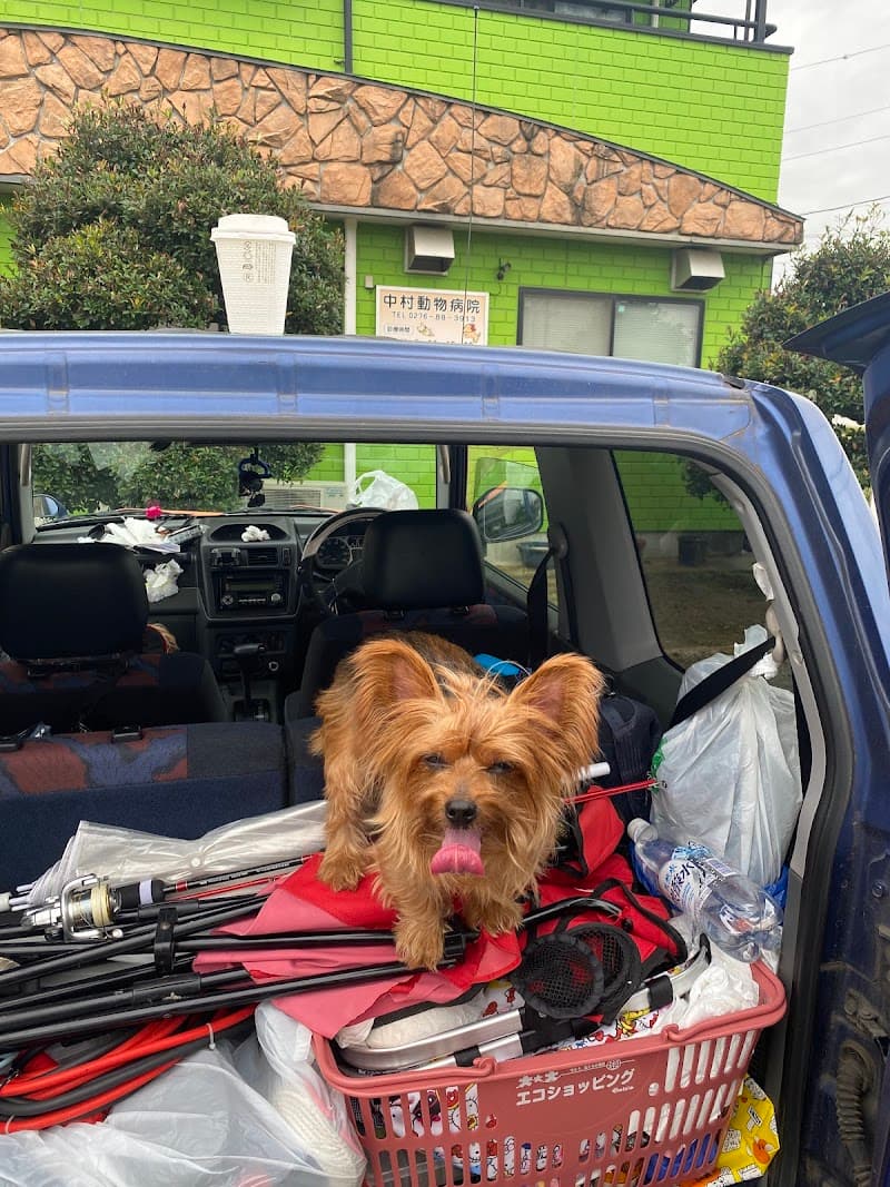 あんどう動物病院