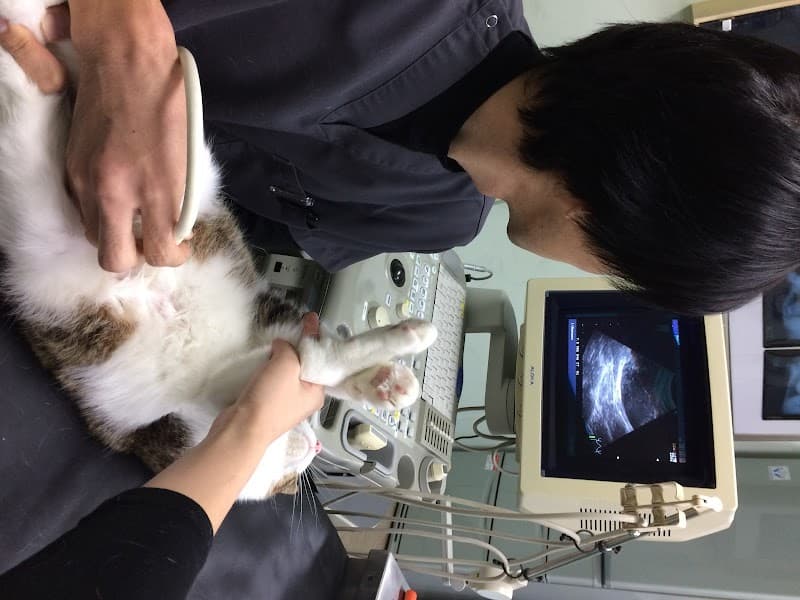 小手指ペットクリニック