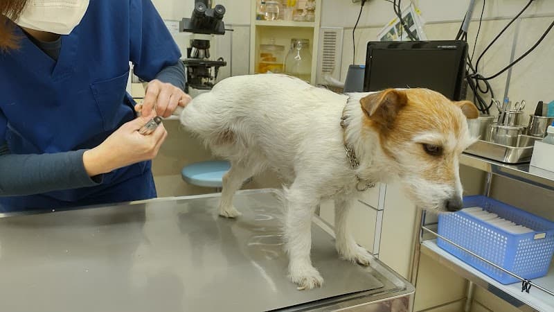 東川口どうぶつ病院
