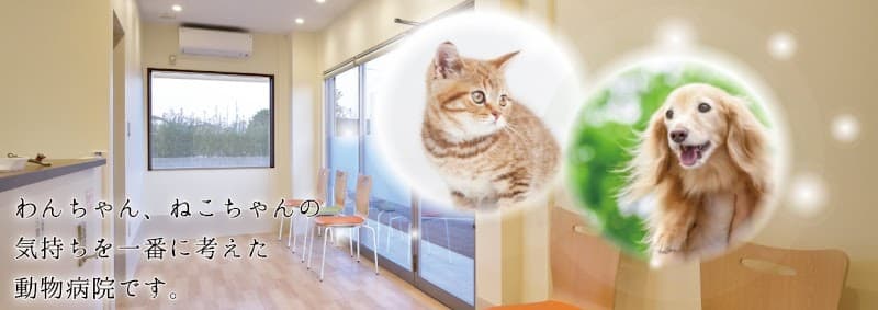 いくの動物病院
