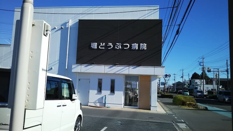 堀どうぶつ病院