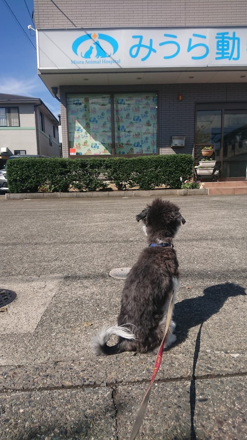 みうら動物病院