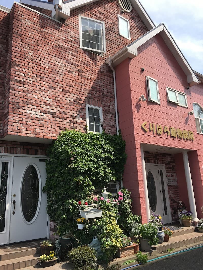 くりはら動物病院