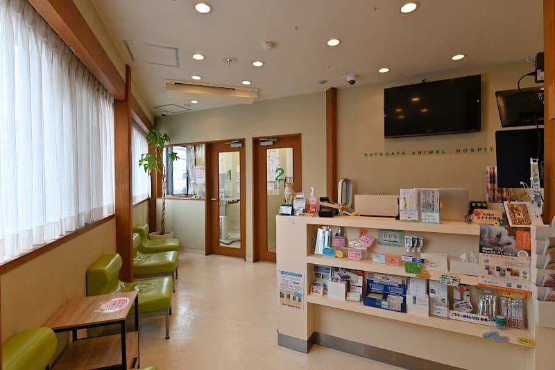 はとがや動物病院