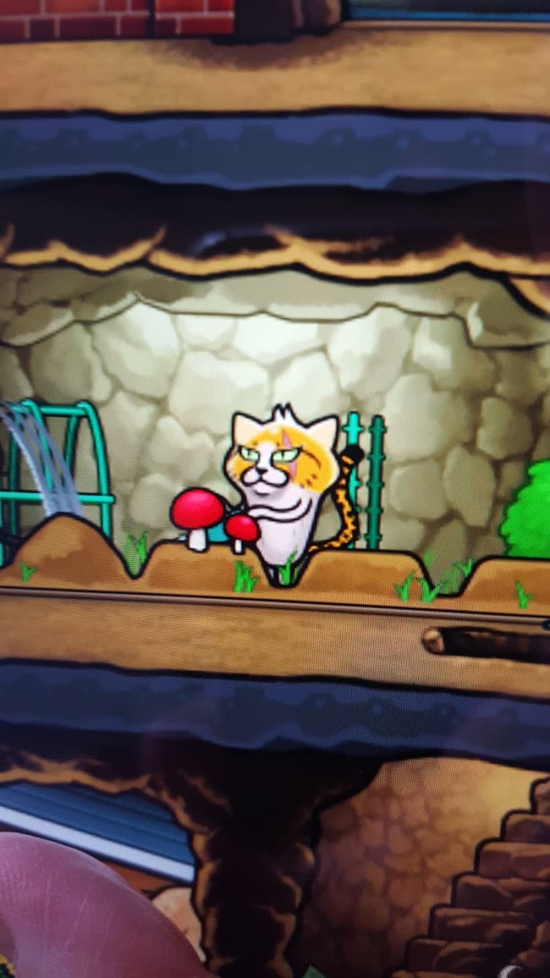 ダクタリ動物病院 浦和病院