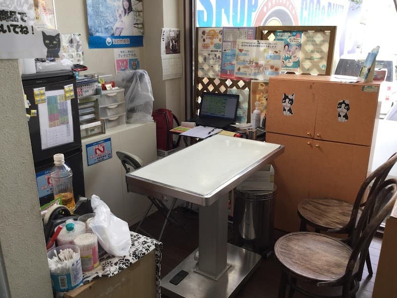 海動物病院 岩槻往診所