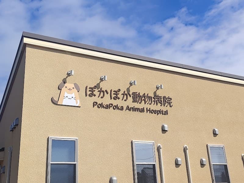 ぽかぽか動物病院