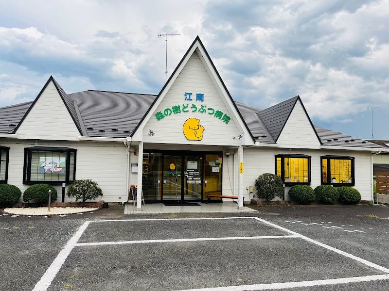 江南森の樹どうぶつ病院