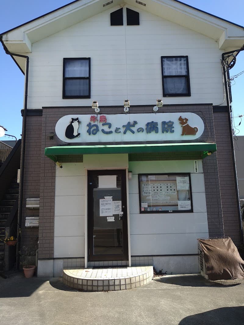 牛島ねこと犬の病院