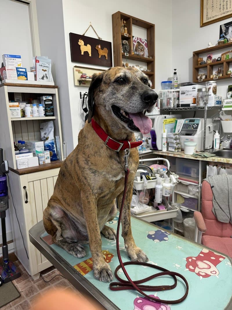 佐藤獣医科医院