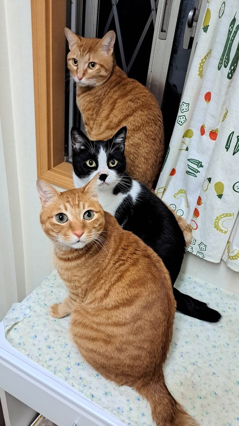 フレンド動物病院