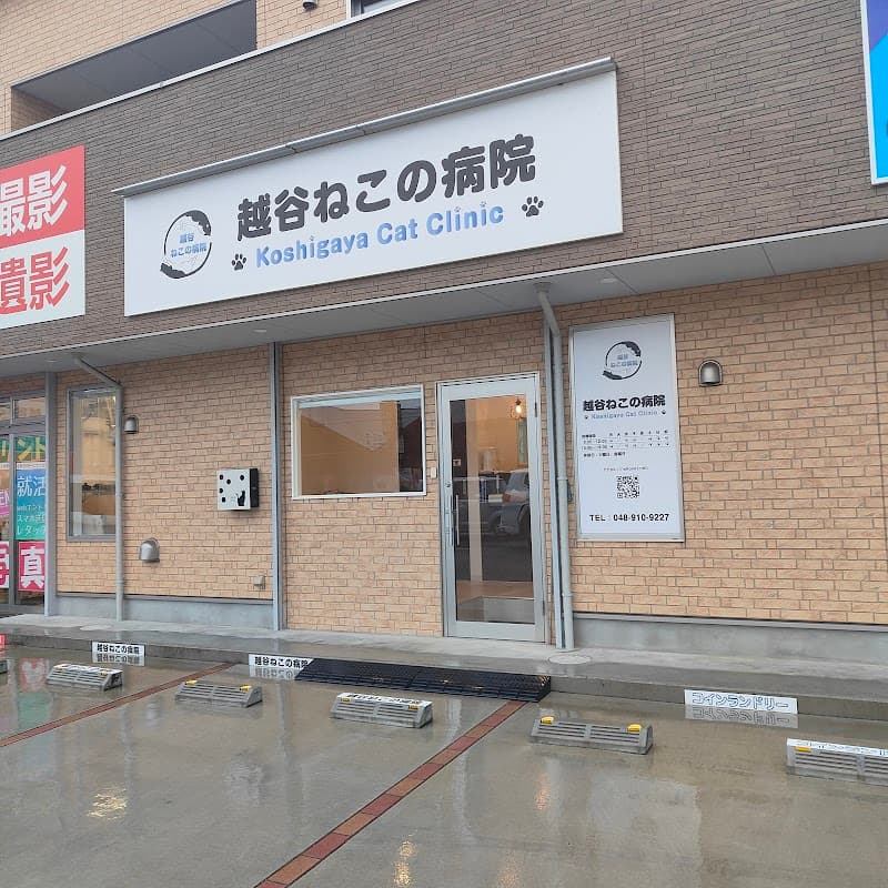 越谷ねこの病院