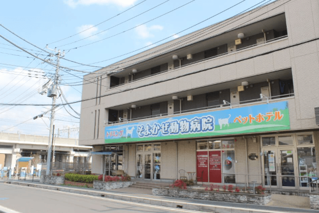 そよかぜ往診型動物病院