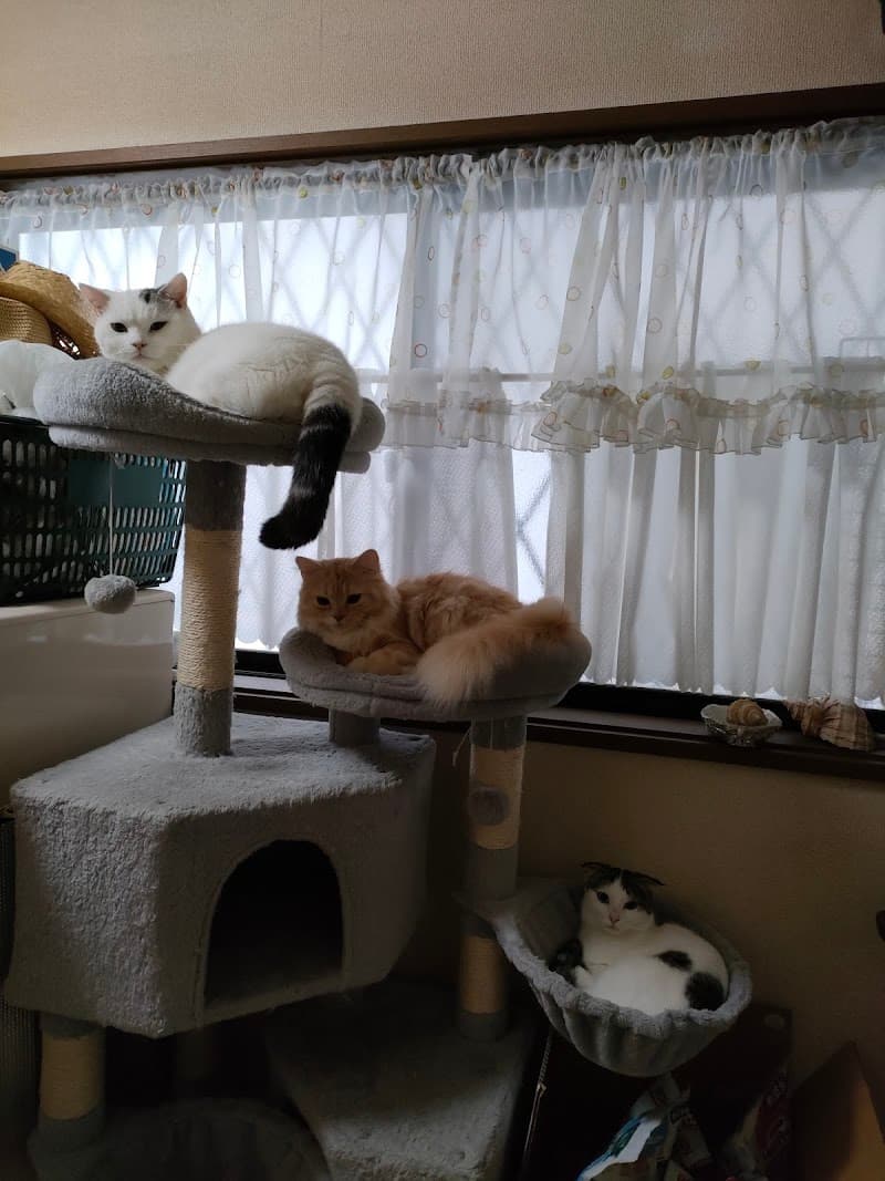 浜坂動物病院