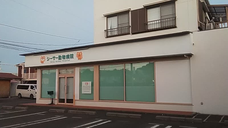 シーサー動物病院