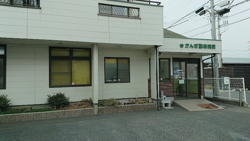 かんだ動物病院