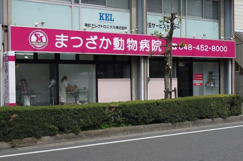 まつざか動物病院