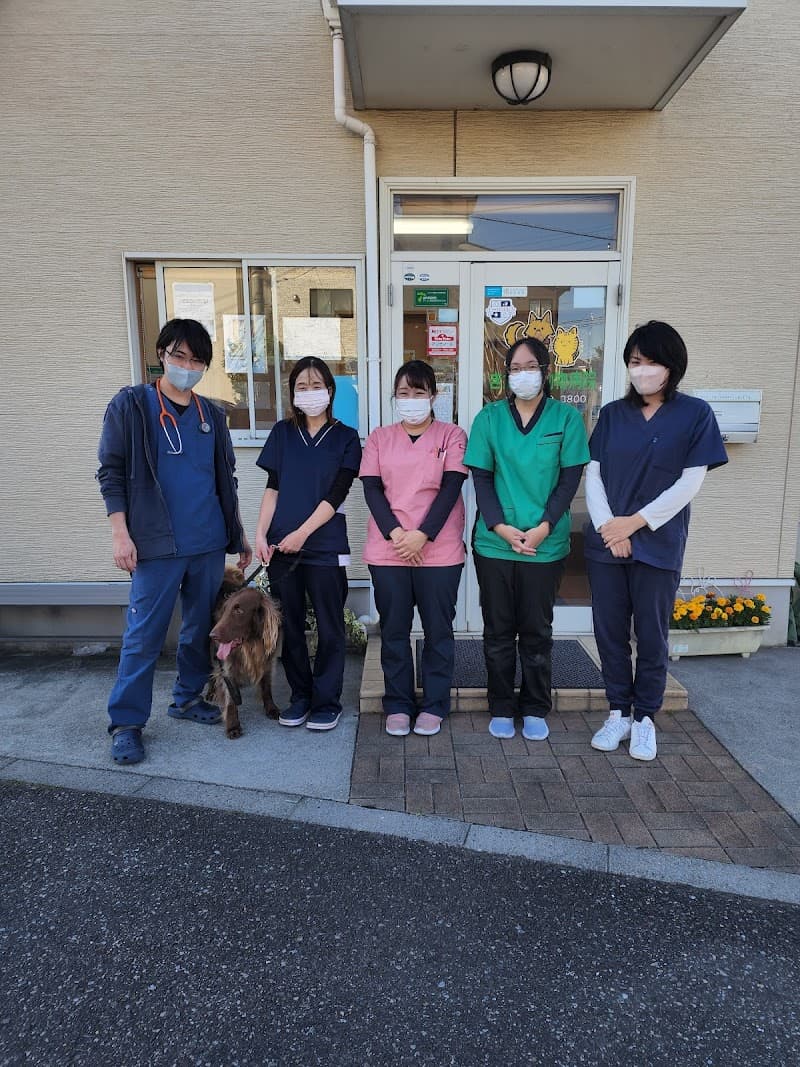 きたじま動物病院
