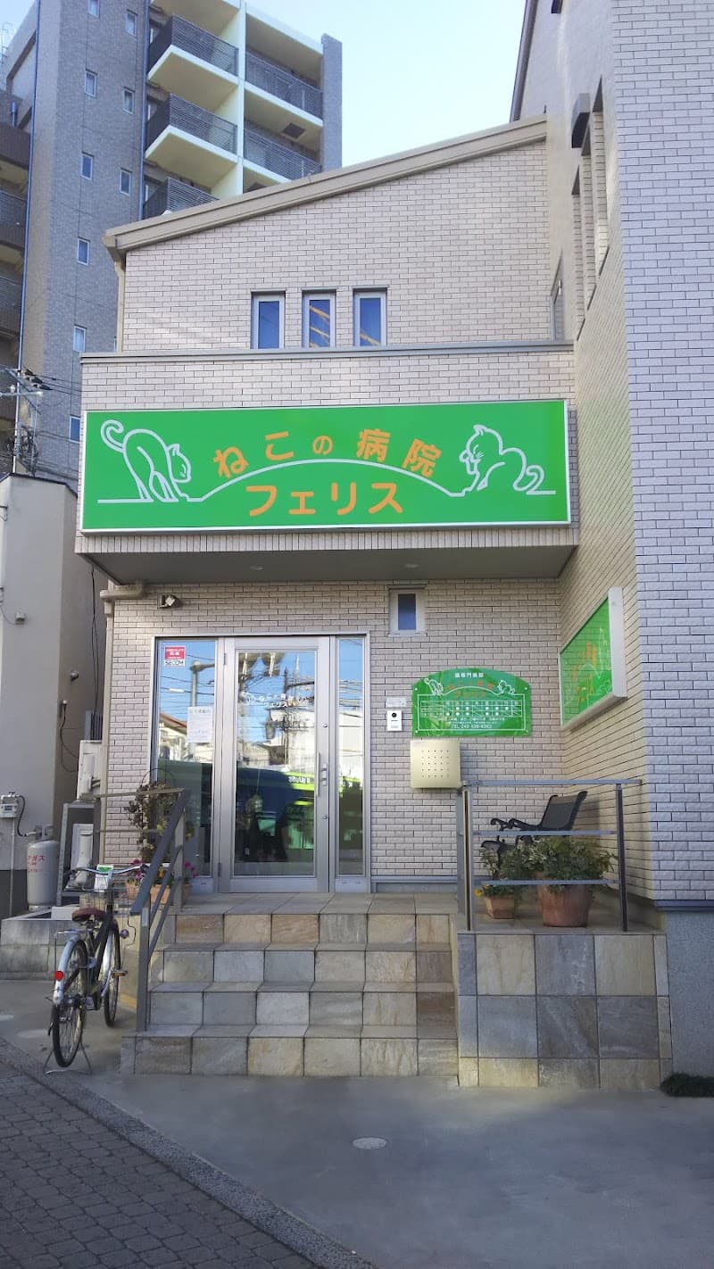 ねこの病院 フェリス