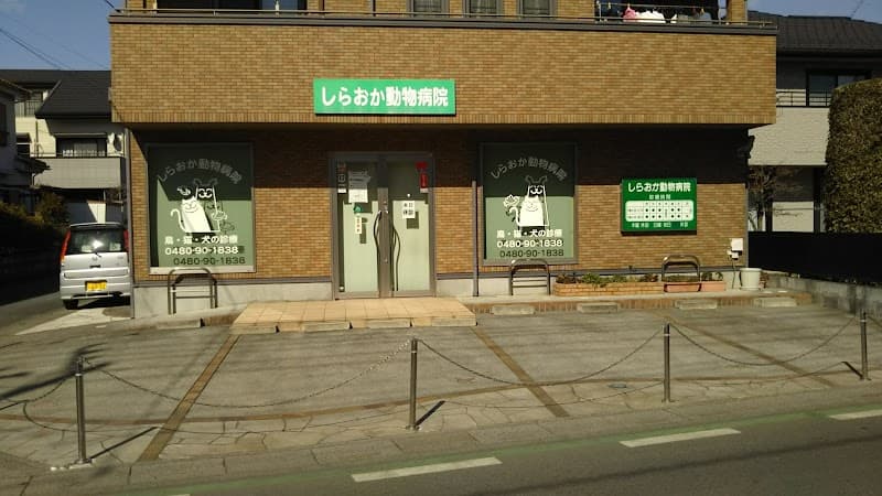 しらおか動物病院