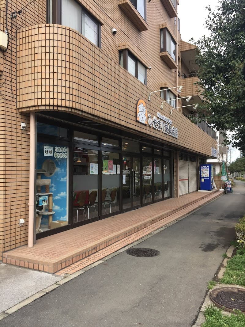 ひだまり動物病院