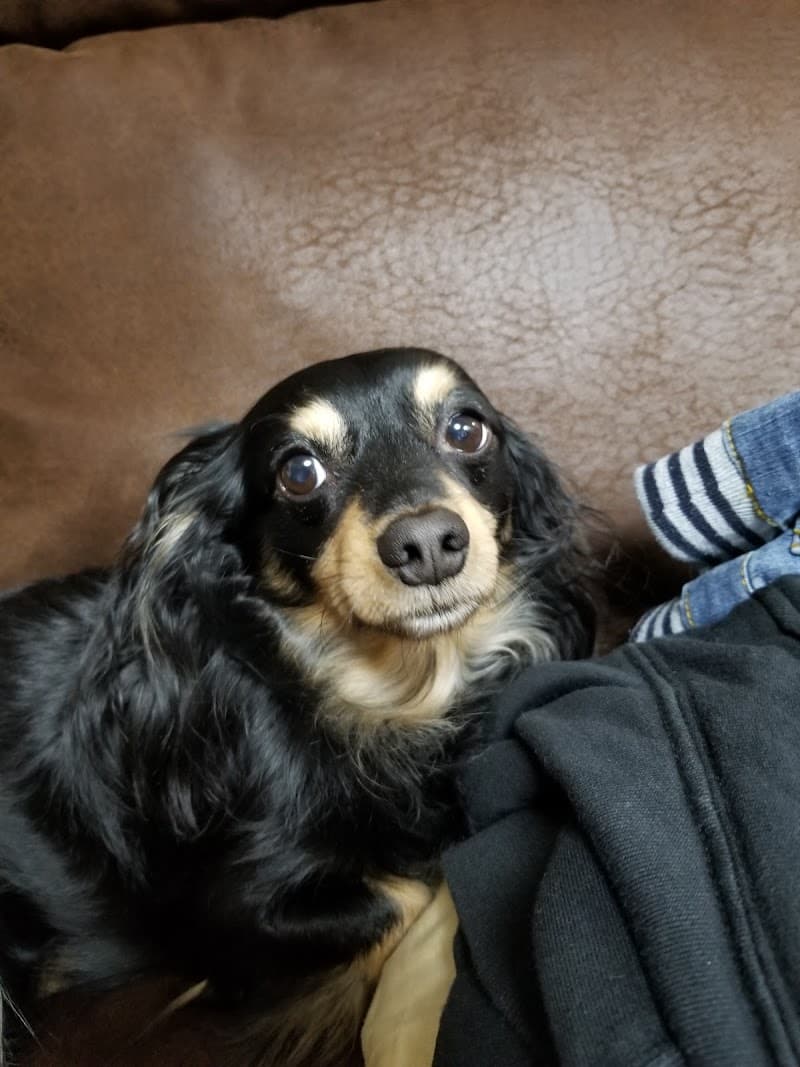 ライフ動物病院