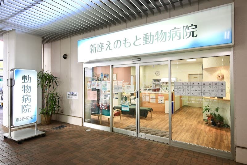 新座どうぶつ病院