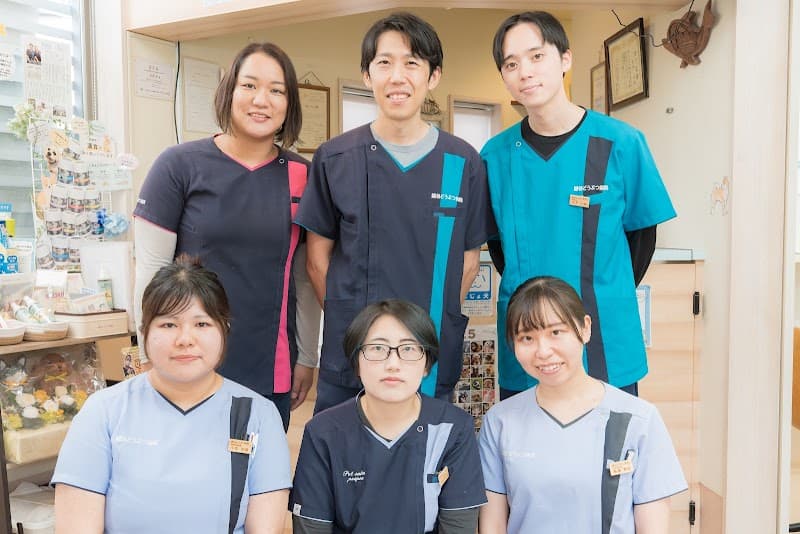 越谷どうぶつ病院