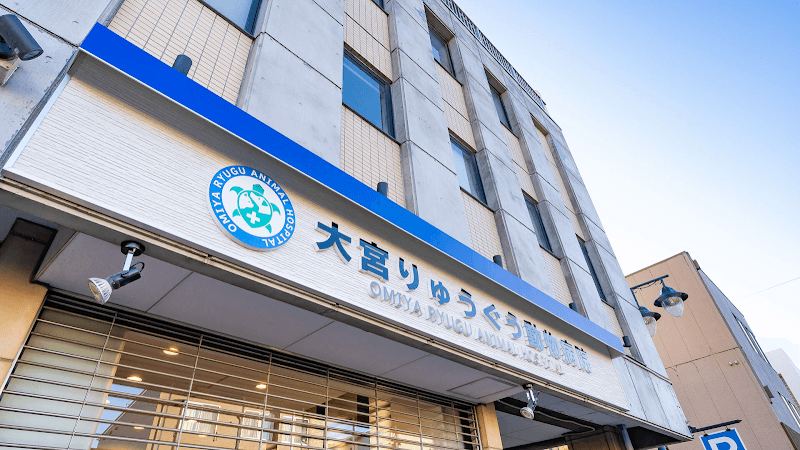 大宮りゅうぐう動物病院