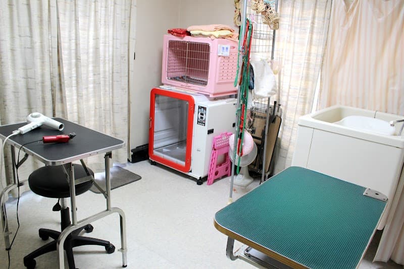 せじま動物病院