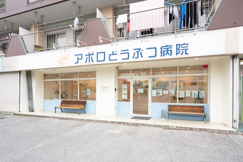 アポロどうぶつ病院