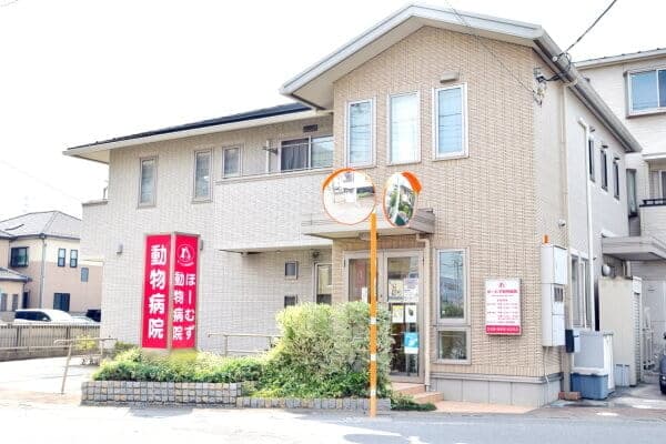 ほーむず動物病院