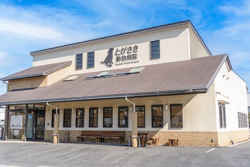 とがさき動物病院