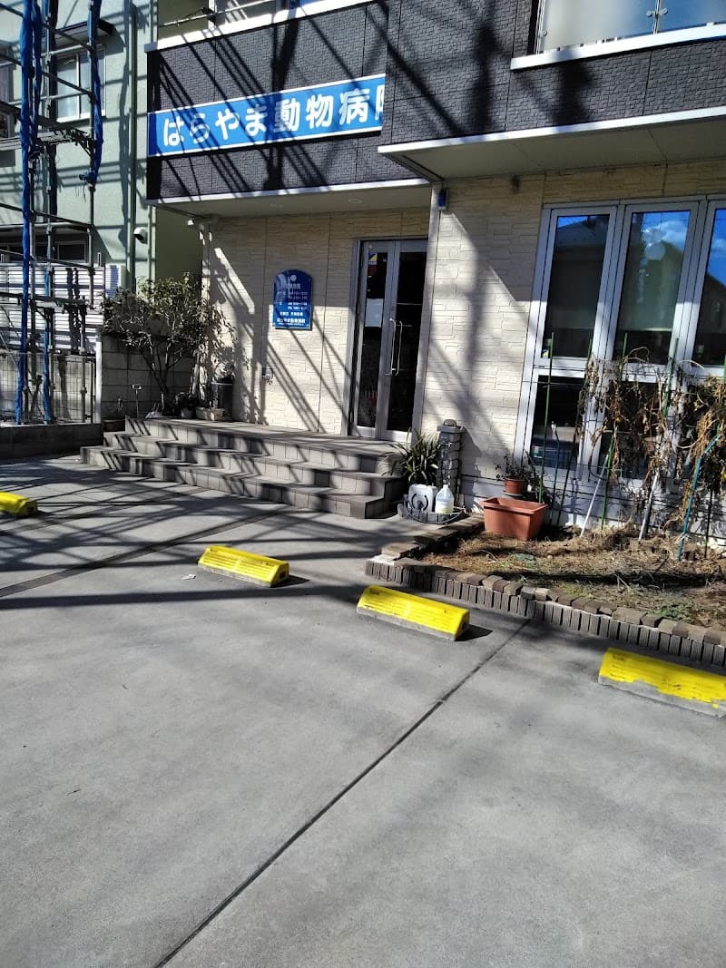 はらやま動物病院