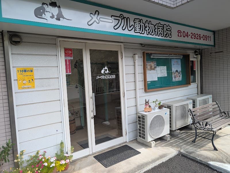 メープル動物病院