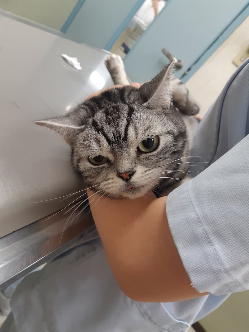 トム動物病院