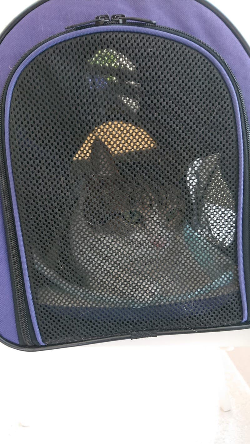 やつか動物病院