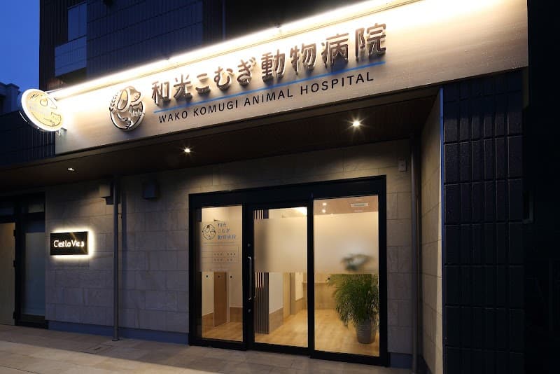和光こむぎ動物病院