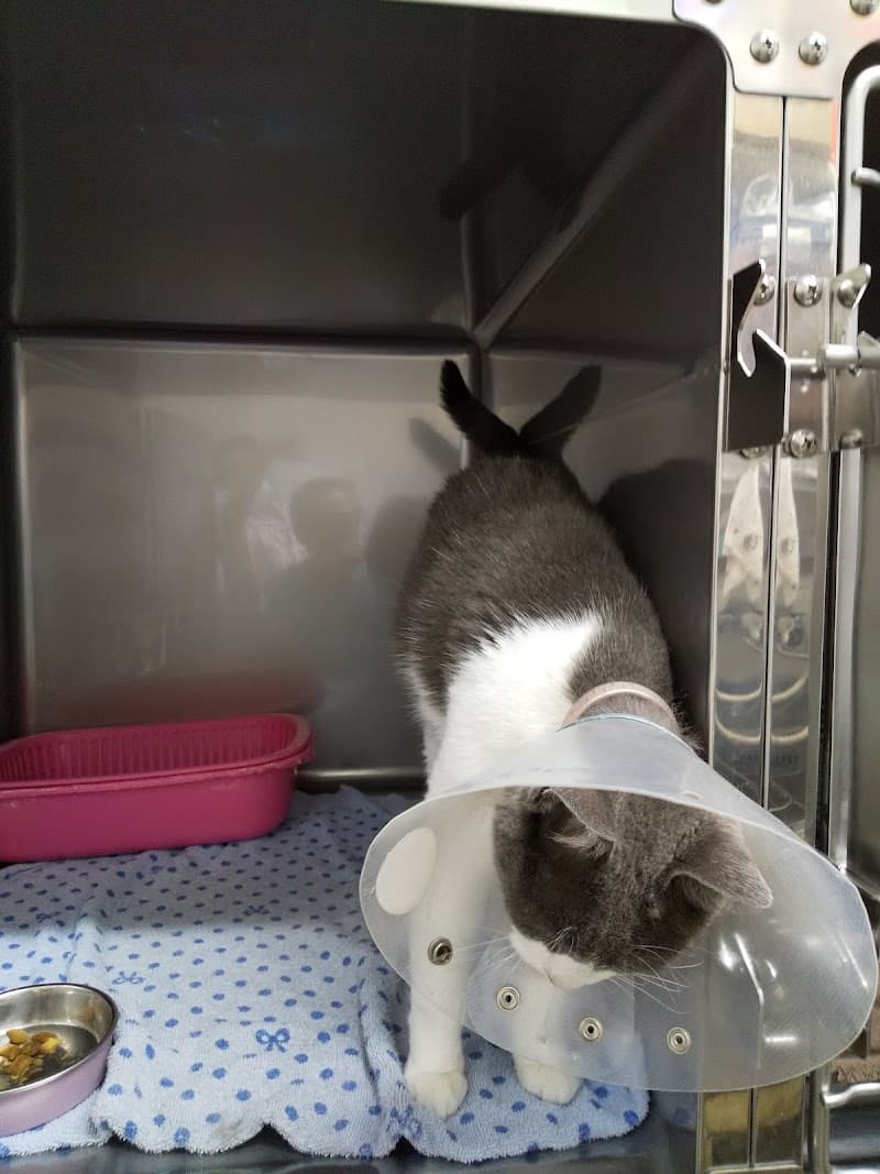 つきのわ動物病院