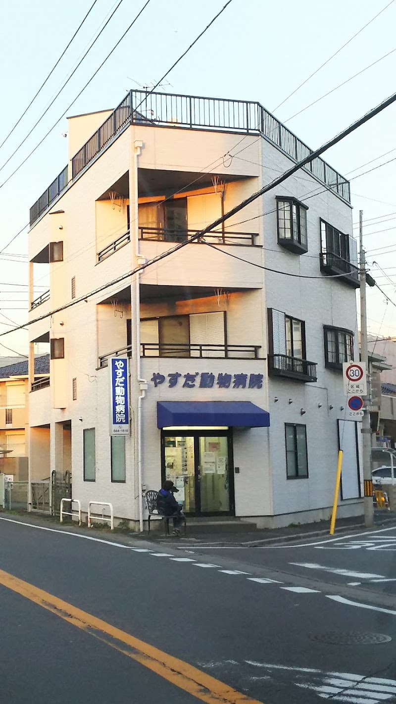 やすだ動物病院