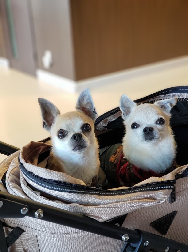 埼玉動物医療センター