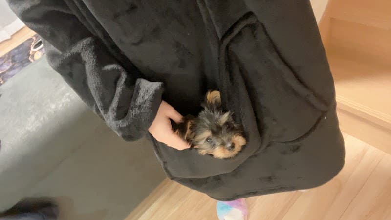 春日部緑どうぶつ病院