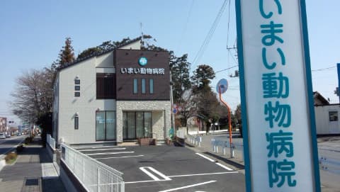 いまい動物病院
