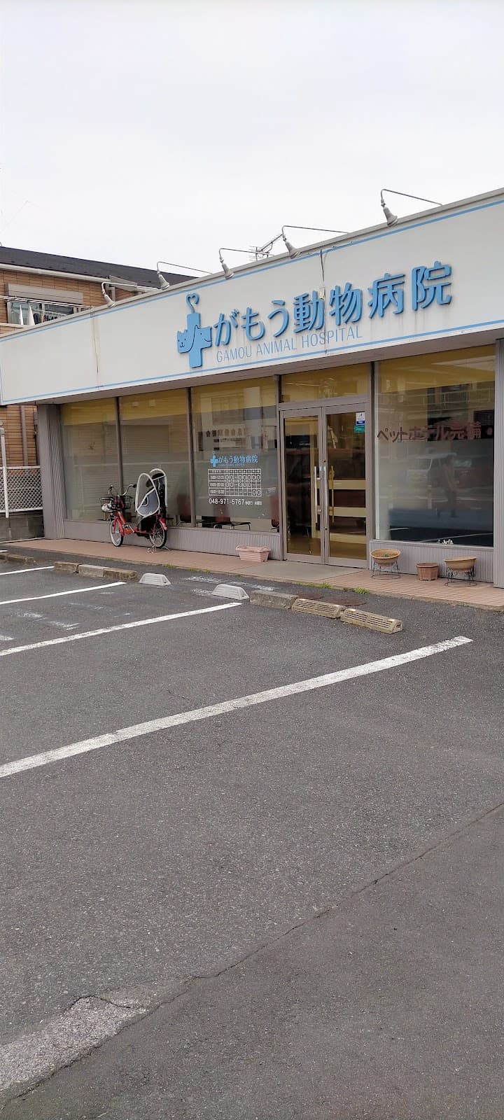 がもう動物病院