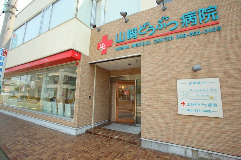 山崎どうぶつ病院