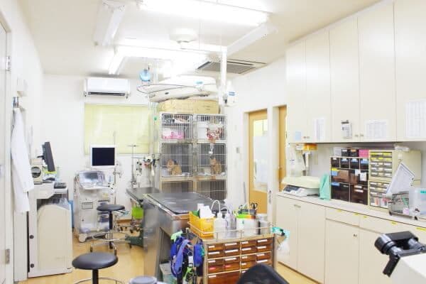 小林犬猫病院