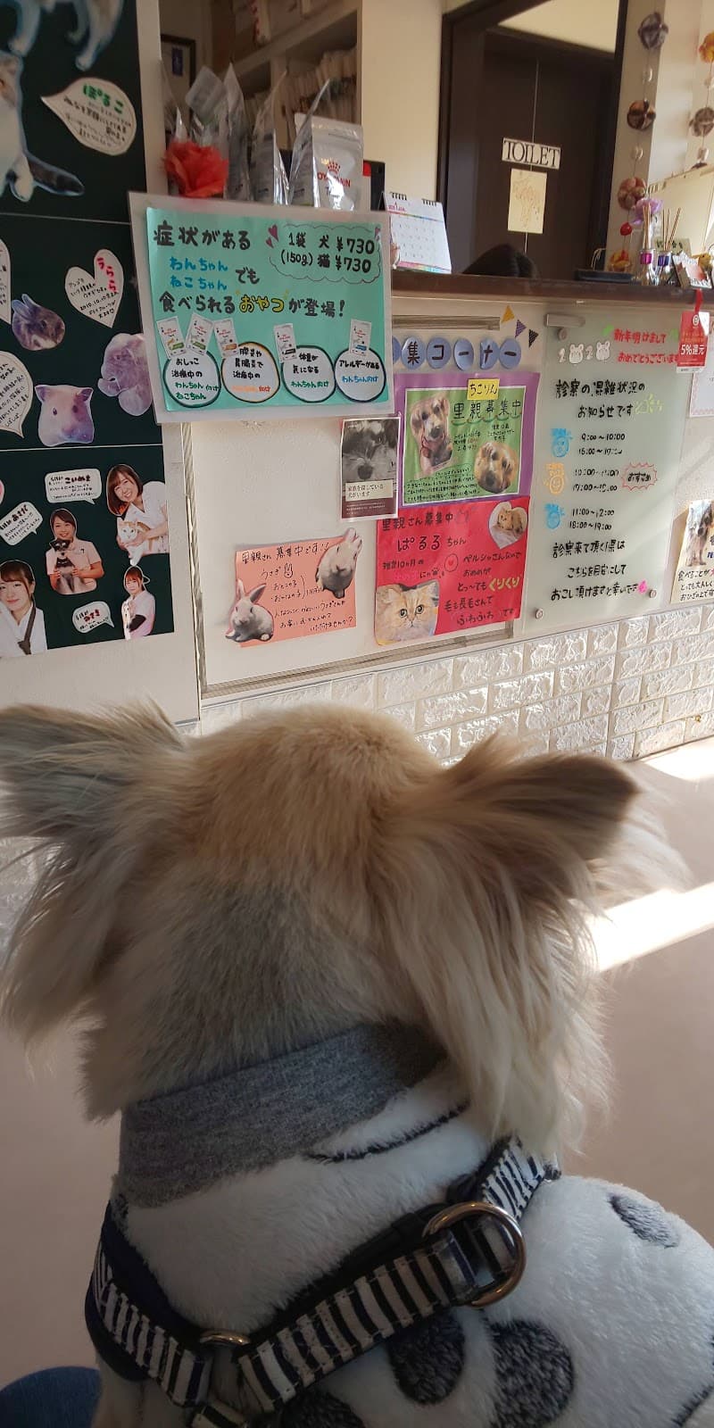 らむ動物病院