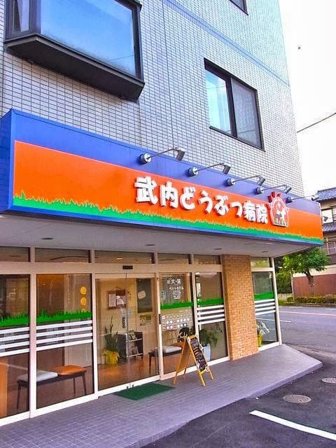 武内どうぶつ病院