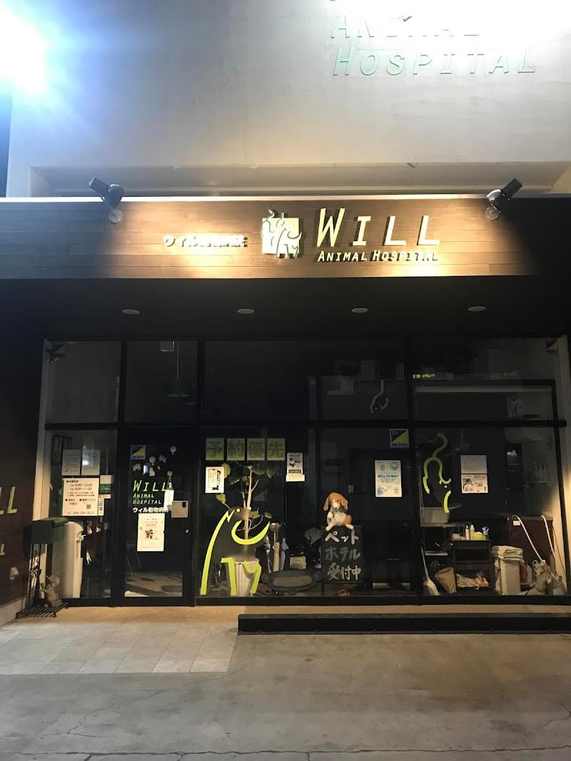 川越市ウィル動物病院