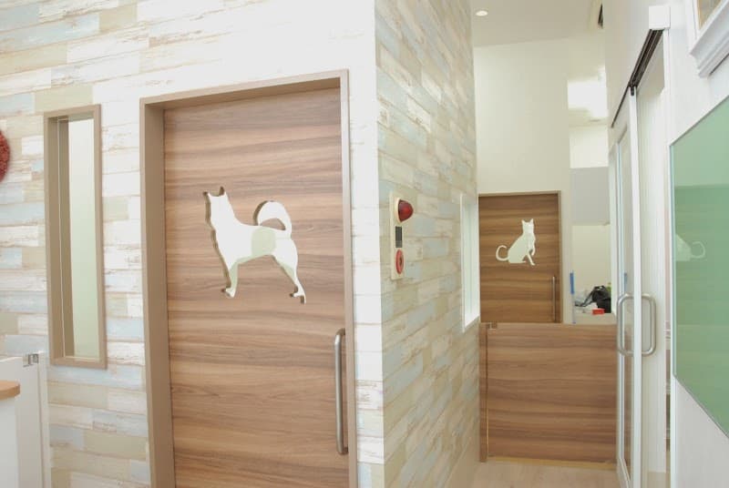 チャムどうぶつ病院